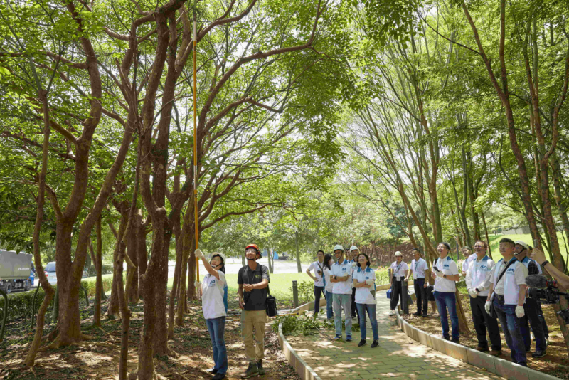 藝師教導大家認識樹木、檢查樹的健康狀況，學習修枝及碎枝覆土