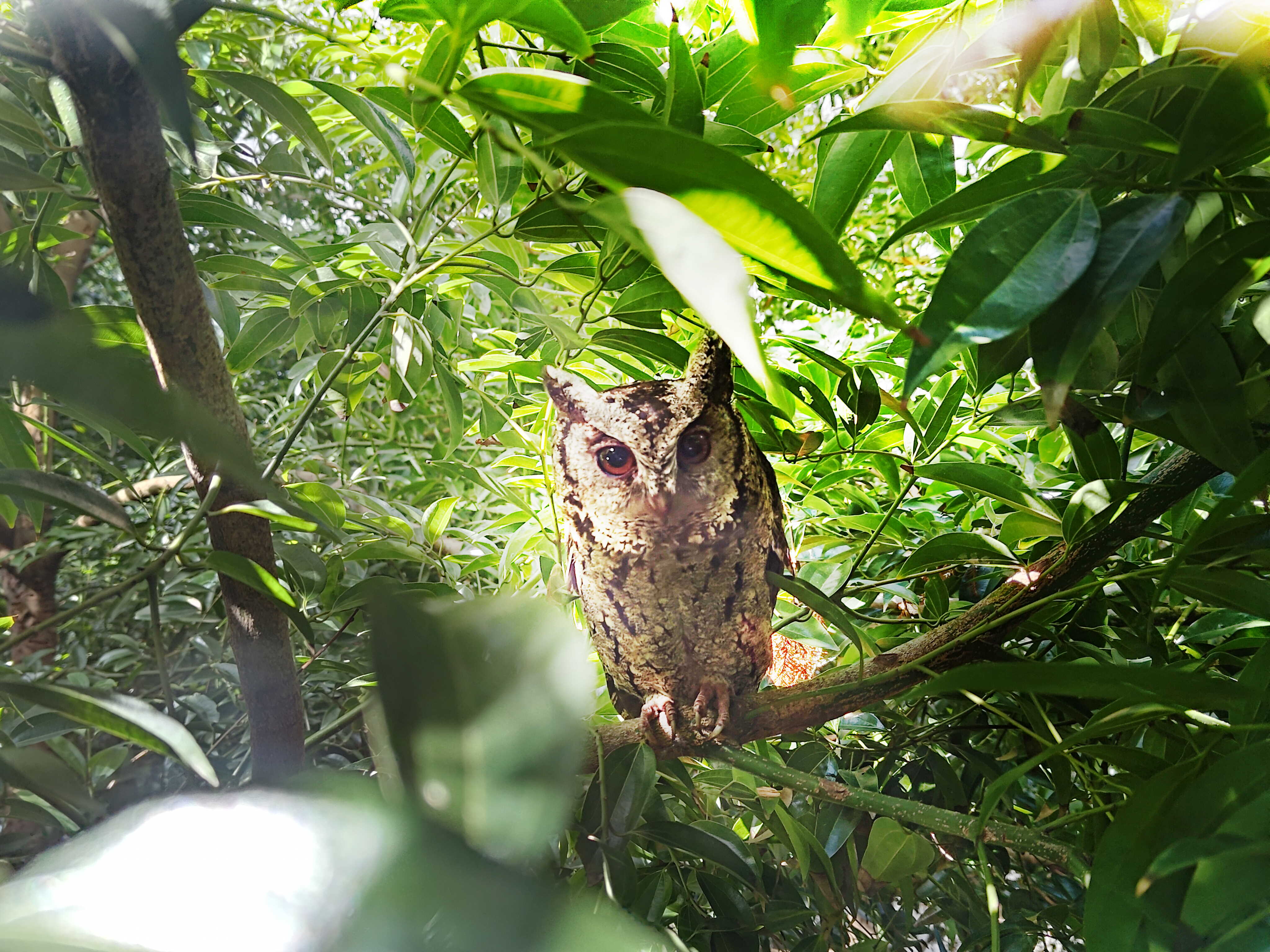 jinnian金年会致力提倡净零绿生活，16年以来在全球各厂区植树逾百万棵，造就各厂区树木蔚然成林，犹如森林工厂，成为许多生物的栖息地